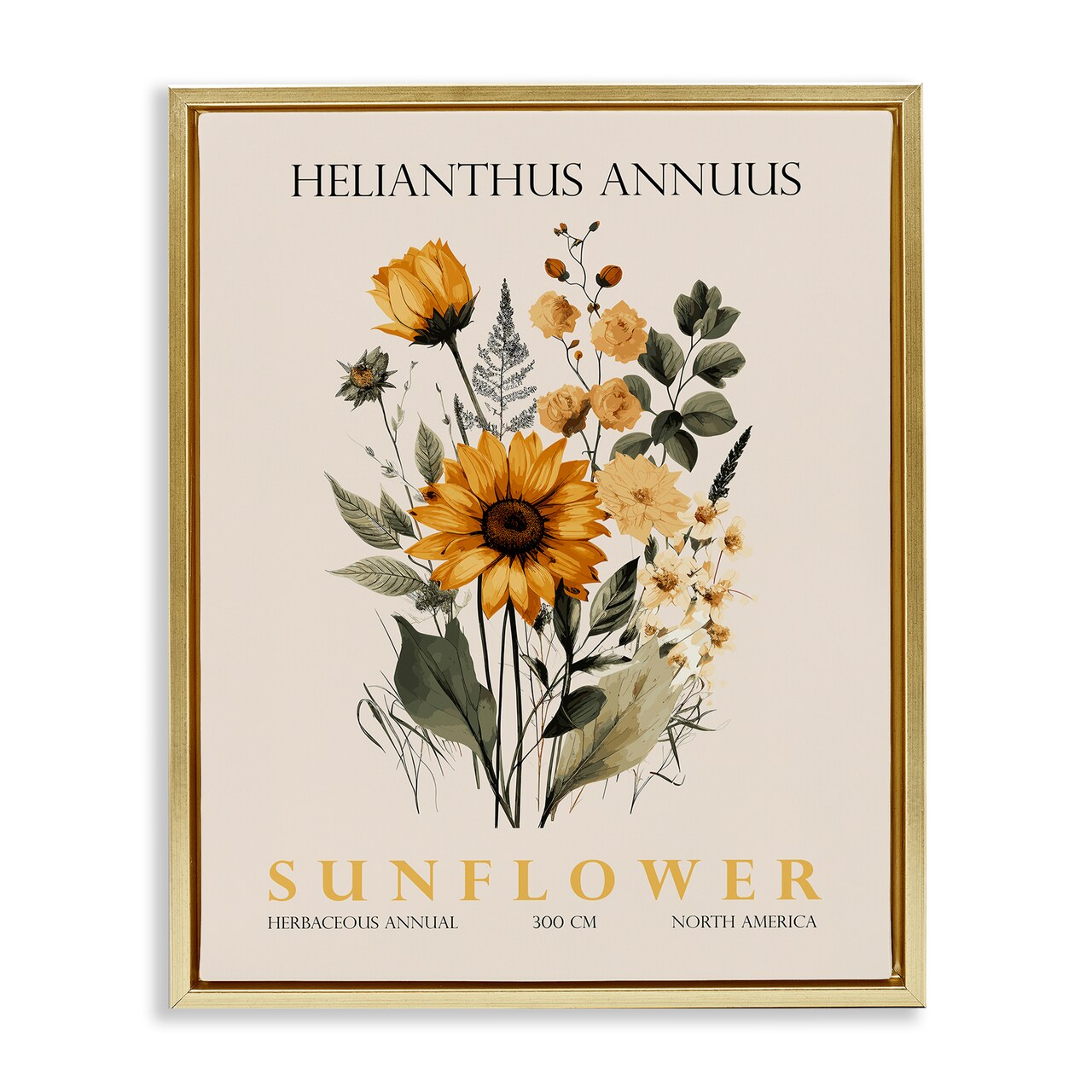 Stupell Industries Natural Sunflower Bundle Floating Frame, design by Christopher Giampietro